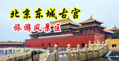 一级片操美女大逼中国北京-东城古宫旅游风景区